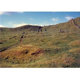 Photograph of Tui Ridge Farm, ca.1970s