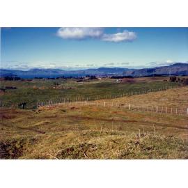Photograph of Tui Ridge Farm, ca.1970s