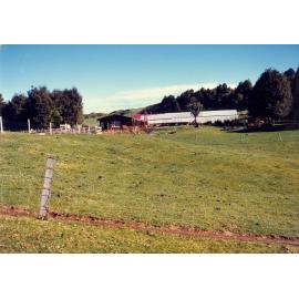 Photograph of Tui Ridge Farm, ca.1970s