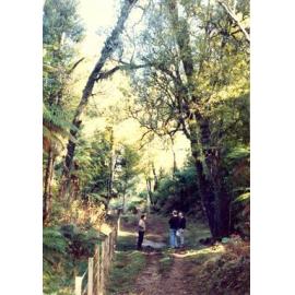 Photograph of Tui Ridge Farm, ca.1970s