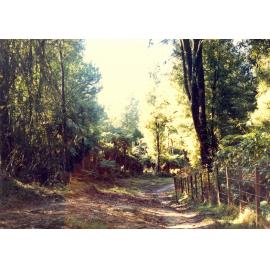 Photograph of Tui Ridge Farm, ca.1970s