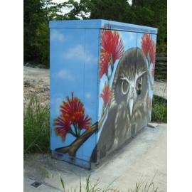 Photograph of a Chorus cabinet painted by local artist, Jacob Chrisohoou