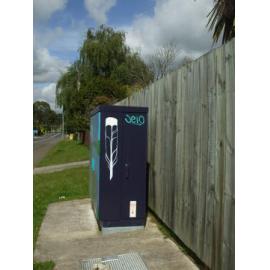 Photograph of a Chorus cabinet painted by local artist, Rebecca Shrimpton