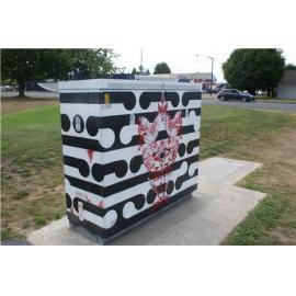 Photograph of a Chorus cabinet painted by local artist, Mark Noble