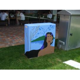 Photograph of a Unison box painted in ca.2017 on the corner of Tutanekai and Hinemoa Streets