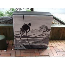 Photograph of a Unison box painted in ca.2017 on the corner of Amohia and Eruera Streets