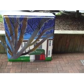 Photograph of a Unison box painted in ca.2017 on the corner of Amohia and Pukuatua Streets