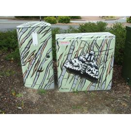 Photograph of a Unison box painted in ca.2017 on the corner of Ranolf and Haupapa Streets