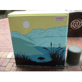 Photograph of a Unison box painted in ca.2017 on the corner of Tutanekai and Haupapa Streets