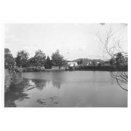 Photograph of Kuirau Park, the duck pond, ca.1961