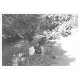 Photograph of Hamurana Springs, 1961