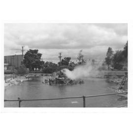 Photograph of pond in Government Gardens, 1961