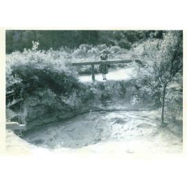 Photograph of Whakarewarewa, 1961