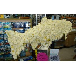 Photograph of "Battered Young Trout" by Julie and Christopher Voss