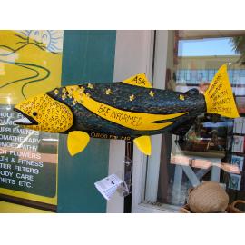 Photograph of "Info Fish" by Rotorua Citizen"s Advice Bureau