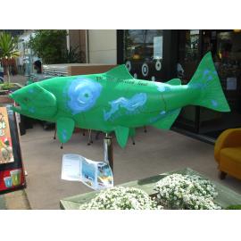 Photograph of "Well Traveled Trout" by Rebecca Cray