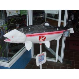 Photograph of "Special Abilities" at The Rotorua Cycle Centre