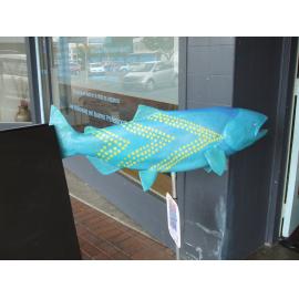 Photograph of unnamed fish in aqua and gold