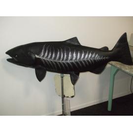 Photograph of "All Blacks Champion" by Martyn Evans