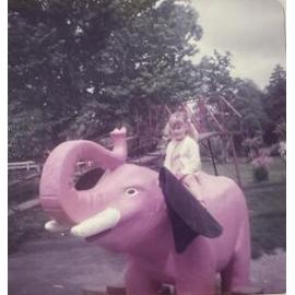 Pink Elephant at Kuirau Park, 1984