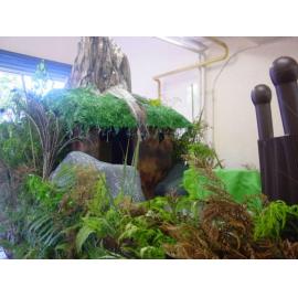 Photograph of the library float for the Rotorua Christmas Parade being constructed