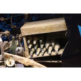 Photograph of bottles excavated from the Te Wairoa Village 