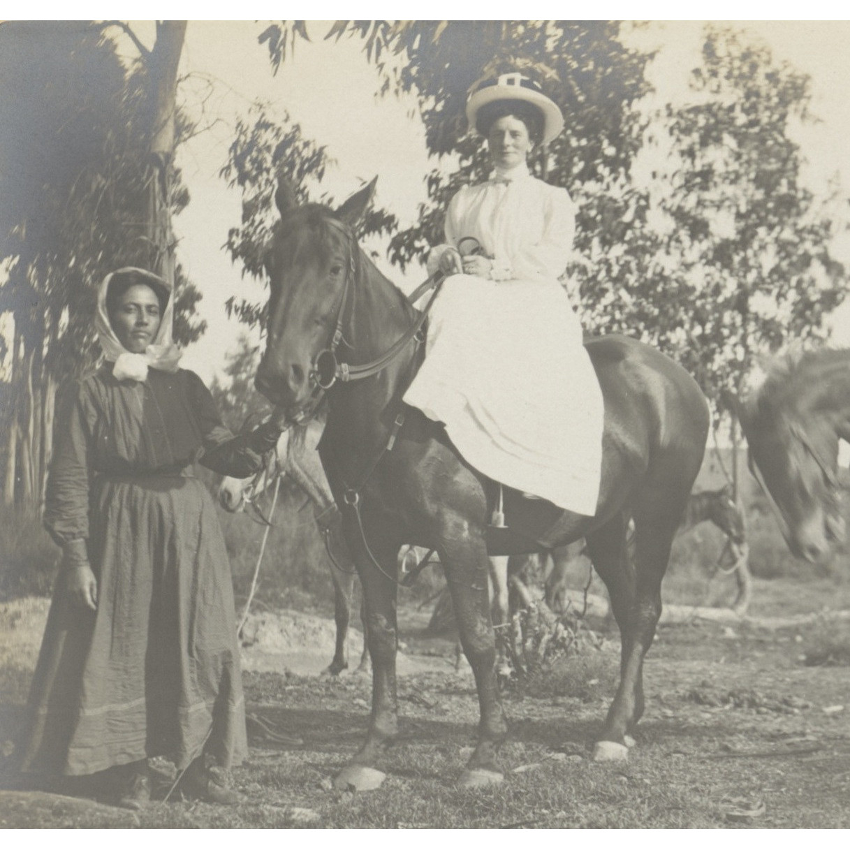 Photograph album, 1909