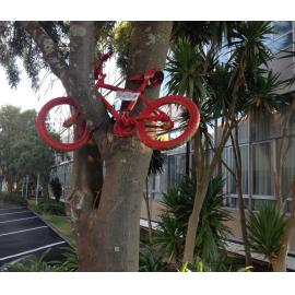 Photograph of old painted bicycle, placed in a tree next to Community House