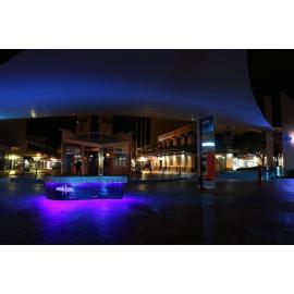 Photograph of City Focus lit up for Blue September