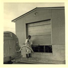 Photograph of Mr Cam Neil hooking up the hose for milk collection, 1968