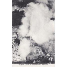 Postcard titled "Papakura Geyser, Whakarewarewa, Rotorua"