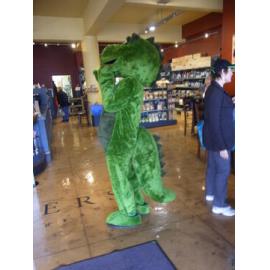 Photograph of Fletcher Tuatara walking in the Rotorua cental business district
