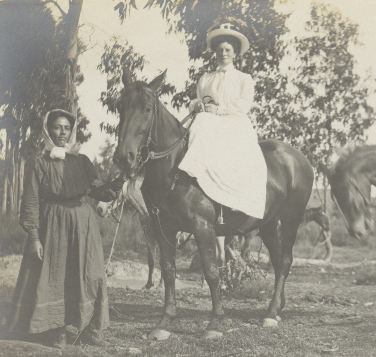Photograph album, 1909
